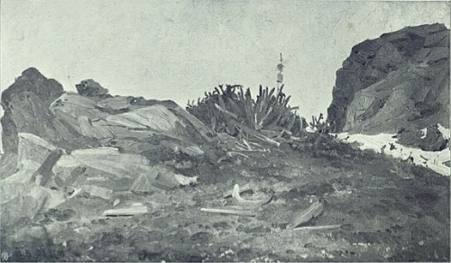 А. А. Борисов. Груда самоедских идолов в нескольких саженях от главной святыни на острове Вайгач